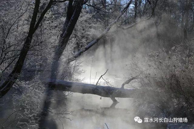 多彩时尚美发沙龙