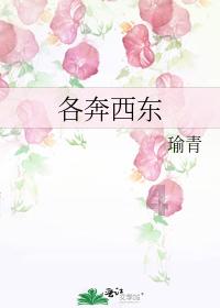 猪猪去冒险