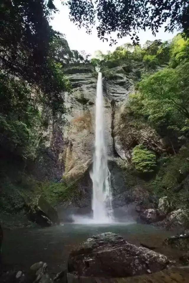 寻找丢失的钱包